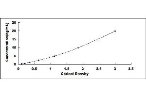 Typical standard curve