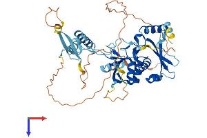 AlphaFold protein structure predicition of Mouse Recombinant Tsen2 Protein, UniprotID Q6P7W5