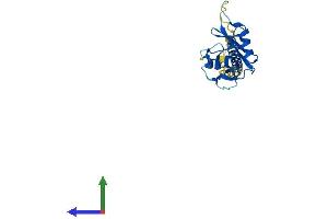 AlphaFold protein structure predicition of Mouse Recombinant Klrg1 Protein, UniprotID O88713