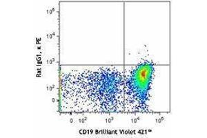 anti-PIR-A/B antibody (PE)