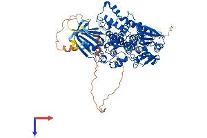 AlphaFold protein structure predicition of Mouse Recombinant Mtmr1 Protein, UniprotID Q9Z2C4