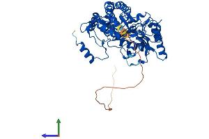 AlphaFold protein structure predicition of Human Recombinant ETNPPL Protein, UniprotID Q8TBG4