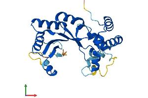 AlphaFold protein structure predicition of Mouse Recombinant Kcnab3 Protein, UniprotID P97382
