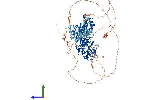 AlphaFold protein structure predicition of Human Recombinant SCML2 Protein, UniprotID Q9UQR0