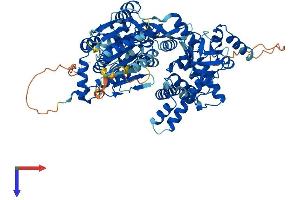 AlphaFold protein structure predicition of Human Recombinant DHX32 Protein, UniprotID Q7L7V1