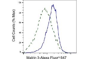 Validation of Matrin 3 knockdown using flow cytometry. (Recombinant MATR3 anticorps)