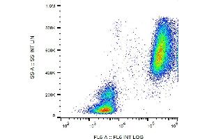 Flow cytometry analysis (intracellular staining) of human peripheral blood cells using anti-lactoferrin (LF5-1D2) purified, GAM-APC. (Lactoferrin anticorps)