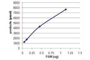 Bioactivity measured with Activity Assay