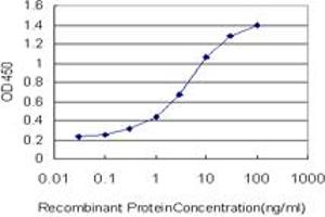 Detection limit for recombinant GST tagged OXSR1 is approximately 0. (OXSR1 anticorps  (AA 1-527))