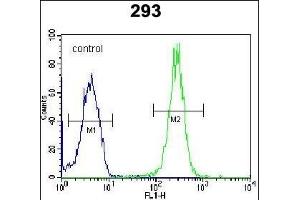 LRRC57 Antibody (C-term) (ABIN654494 and ABIN2844226) flow cytometric analysis of 293 cells (right histogram) compared to a negative control cell (left histogram). (LRRC57 anticorps  (C-Term))