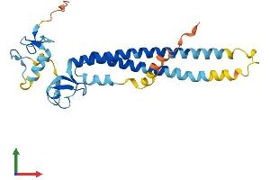 AlphaFold protein structure predicition of Human Recombinant TRIM40 Protein, UniprotID Q6P9F5