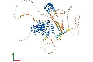 AlphaFold protein structure predicition of Mouse Recombinant Tp63 Protein, UniprotID O88898