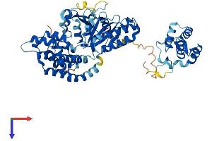 AlphaFold protein structure predicition of Mouse Recombinant Ehd2 Protein, UniprotID Q8BH64
