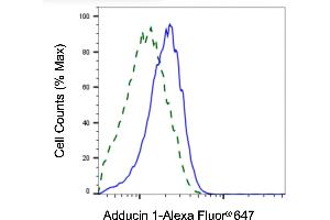 Validation of Adducin 1 knockdown using flow cytometry. (alpha Adducin anticorps)