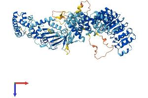 AlphaFold protein structure predicition of Mouse Recombinant Nod1 Protein, UniprotID Q8BHB0