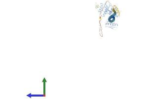 AlphaFold protein structure predicition of Mouse Recombinant Def6 Protein, UniprotID Q8C2K1