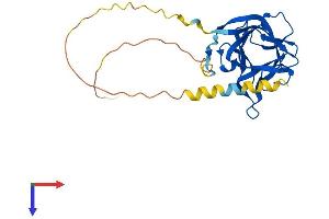 Fibroblast Growth Factor 13 (FGF13) (AA 1-245) protein (His tag)