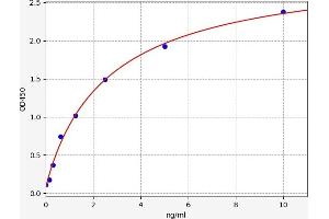 Typical standard curve (DKK4 Kit ELISA)