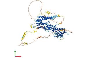 AlphaFold protein structure predicition of Mouse Recombinant Rtkn Protein, UniprotID Q8C6B2