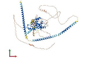 AlphaFold protein structure predicition of Human Recombinant SKIL Protein, UniprotID P12757
