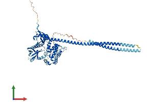 AlphaFold protein structure predicition of Mouse Recombinant Nf2 Protein, UniprotID P46662