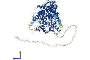 AlphaFold protein structure predicition of Mouse Recombinant Cry2 Protein, UniprotID Q9R194