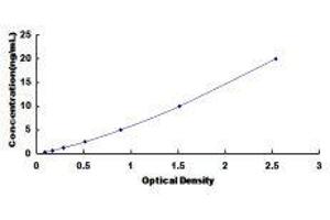 ELISA image for Dipeptidyl-Peptidase 8 (DPP8) ELISA Kit (ABIN422013)