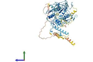 AlphaFold protein structure predicition of Human Recombinant ZNF699 Protein, UniprotID Q32M78