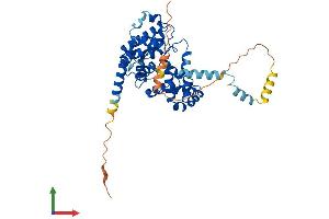 AlphaFold protein structure predicition of Mouse Recombinant Tbc1d20 Protein, UniprotID Q9D9I4