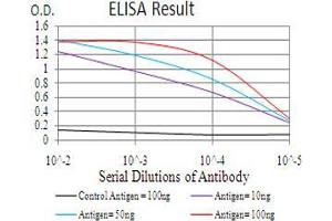 Black line: Control Antigen (100 ng), Purple line: Antigen(10 ng), Blue line: Antigen (50 ng), Red line: Antigen (100 ng), (CBX3 anticorps  (AA 1-183))