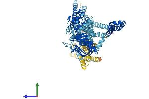 AlphaFold protein structure predicition of Mouse Recombinant Tap1 Protein, UniprotID P21958