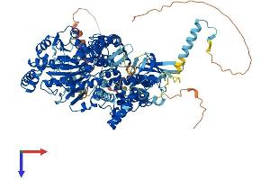 AlphaFold protein structure predicition of Mouse Recombinant Dhx36 Protein, UniprotID Q8VHK9
