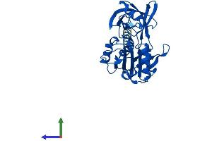 AlphaFold protein structure predicition of Human Recombinant CYB5R1 Protein, UniprotID Q9UHQ9