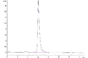 The purity of Human Adiponectin is greater than 94 % as determined by SEC-HPLC. (ADIPOQ Protein (AA 19-244) (His tag))