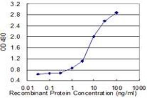Sandwich ELISA detection sensitivity ranging from 1 ng/mL to 100 ng/mL. (GCG (Humain) Matched Antibody Pair)