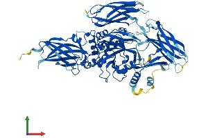AlphaFold protein structure predicition of Human Recombinant TGM7 Protein, UniprotID Q96PF1