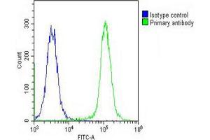 Overlay histogram showing K562 cells stained with Antibody (green line). (RASIP1 anticorps  (AA 651-678))
