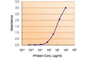 ELISA Image ELISA detection of MIF using  for capture at a concentration of 5 µg/mL and  for detection at a concentration of 1.