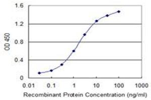 Detection limit for recombinant GST tagged SCYL1 is 0. (SCYL1 anticorps  (AA 373-472))