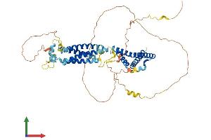 AlphaFold protein structure predicition of Mouse Recombinant Ocln Protein, UniprotID Q61146