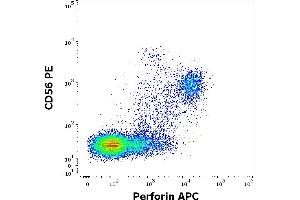 Flow cytometry multicolor surface staining pattern of human lymphocytes using anti-human CD56 (LT56) PE antibody (10 μL reagent / 100 μL of peripheral whole blood) and intracellular staining using anti-Perforin (dG9) APC antibody (10 μL reagent / 100 μL of peripheral whole blood).
