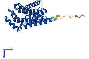 AlphaFold protein structure predicition of Mouse Recombinant Sfn Protein, UniprotID O70456
