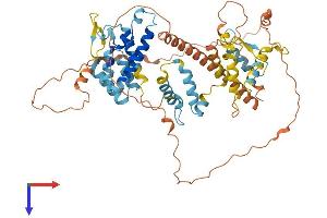 AlphaFold protein structure predicition of Mouse Recombinant Iap Protein, UniprotID P03975