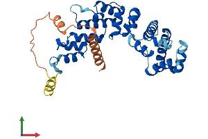 AlphaFold protein structure predicition of Mouse Recombinant Fbxo8 Protein, UniprotID Q9QZN3