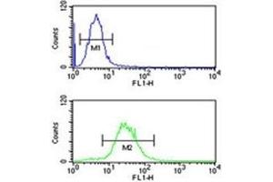 IGH antibody flow cytometric analysis of HL-60 cells (green) compared to a negative control cell (blue). (IgH anticorps  (AA 290-320))