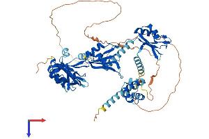 AlphaFold protein structure predicition of Human Recombinant PABPC1 Protein, UniprotID P11940