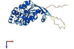 AlphaFold protein structure predicition of Mouse Recombinant Sae1 Protein, UniprotID Q9R1T2