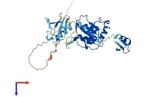 AlphaFold protein structure predicition of Mouse Recombinant Yod1 Protein, UniprotID Q8CB27