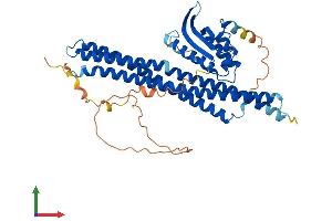 AlphaFold protein structure predicition of Human Recombinant SNX30 Protein, UniprotID Q5VWJ9