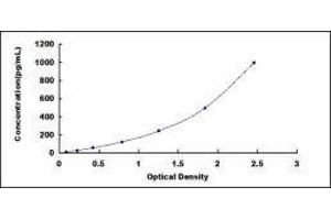 ELISA image for Interleukin 1, beta (IL1B) ELISA Kit (ABIN2014307)